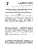 Informe de compresion de materiales