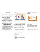 La comunicacion. Elementos de comunicacion