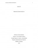 Ensayo decisiones gerenciales