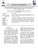Columna de Absorción