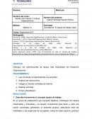 Actividad 04. El equipo de trabajo ideal