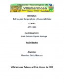Estrategias Corporativas y Sustentabilidad