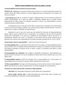 Bolilla 8: Responsabilidad de la persona jurídica y estatal