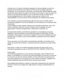 Diversificación geográfica en entornos globales