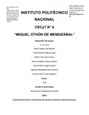 Consecuencias físicas y emocionales del cáncer de mama en mujeres mexicanas