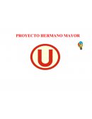 Proyecto Hermano Mayor
