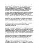 Control transcripcional