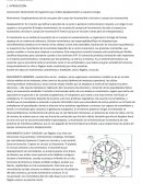 Locomoción zoología