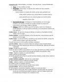 Cuento de los "Tres Cerditos" Biografía, con letra y todos los detalles