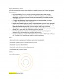 Diseño Organizacional clase 1