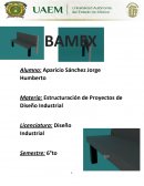 Estructuración de Proyectos de Diseño Industrial
