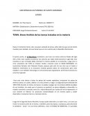 Análisis de globalizacion y desarrollo humano