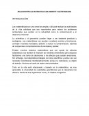 Relacion entre las matematicas y el medio ambiente