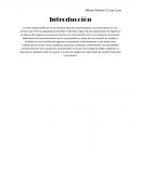 Emprendedurismo. Tipos de emprendedores