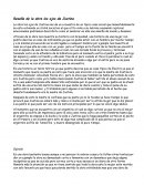 Reseña de la obre los ojos de Justina