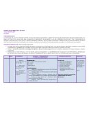 PLANIFICACION BIBLIOTECA DEL AULA