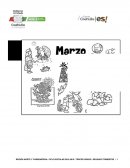 Prueba de comprensión lectora y conocimiento de textos