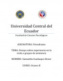 Ensayo sobre experiencia en la visita a grupos de asistencia