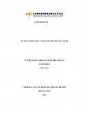 ARTICULO DE OPINION Y PLANEACION DE AUDITORIA