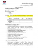 CUARTO DE PRIMARIA CAMPOS DE FORMACION ACADEMICA