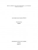 IMPACTO AMBIENTAL DEL SECTOR INDUSTRIAL A LAS VIVIENDAS URBANAS EN BOGOTÁ