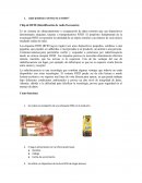Plan empresa venta de Chip de RFID (Identificación de radio frecuencia)