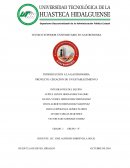 INTRODUCCION A LA GASTRONOMIA PROYECTO: CREACION DE UN ESTABLECIMIENTO