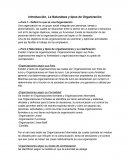 Organizacion empresarial - guia