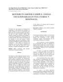 MOVIMIETO AMÓNICO SIMPLE | ONDAS ESTACIONARIAS EN UNA CUERDA Y RESONACIA