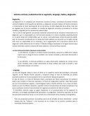 Resumen de sistema cortical