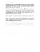 Foro plan de gestion