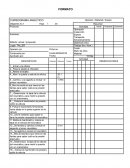 Formato cursograma analitico