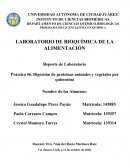 LABORATORIO DE BIOQUÍMICA DE LA ALIMENTACIÓN