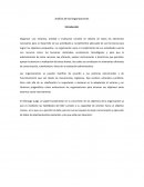 Análisis de las organizaciones. Cultura de poder