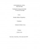 Neurociencia cognitiva