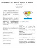 La importancia de la medición dentro de las empresas