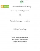 Planeación Estratégica y Consultoría