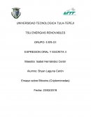 Ensayo sobre Bitcoins (Criptomonedas)