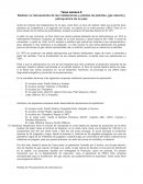 Instalaciones de plantas petroleras y gas natural en el Perú