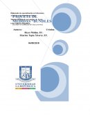 Paquete de medidas bundles