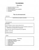 Entrenamiento semanal