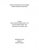 IDENTIFICACION BIOMOLECULAR DE LAS ENZIMAS