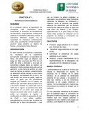 PRACTICA N° 1. Fenómenos electrostáticos