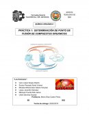 Practica 1 DETERMINACION DE PUNTO DE FUSIÓN