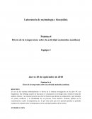 Efecto de la temperatura sobre la actividad enzimática (amilasa)