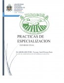 Empresa Tabacalera “Tabacos Valle de Jalapa S.A”