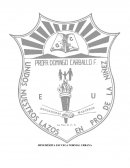 Práctica e Intervención Docentes