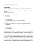 La Segmentación del Cementos Argos