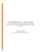 CASO PRÁCTICO – ERIA LABS