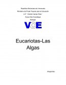 Biología . Eucariotas-Las Algas